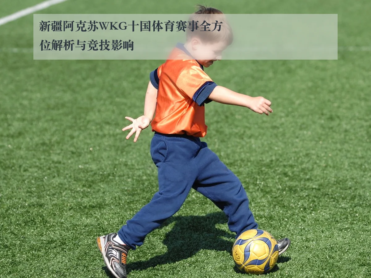 新疆阿克苏WKG十国体育赛事全方位解析与竞技影响